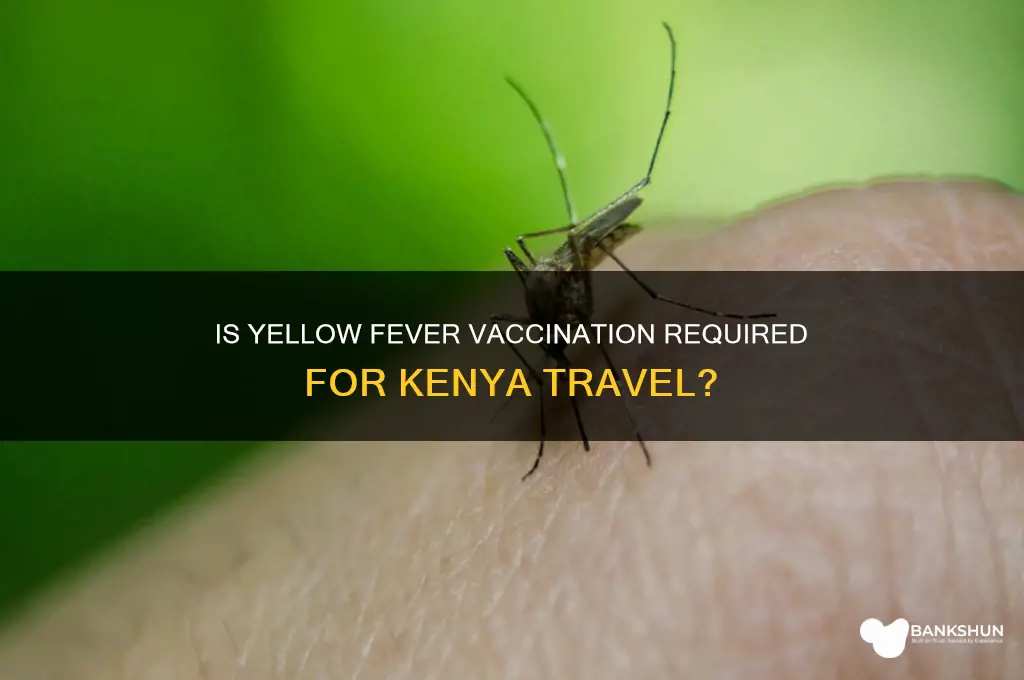 is yellow fever vaccination necessary for kenya