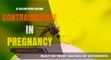 Yellow Fever Vaccine and Pregnancy: Safety Concerns and Recommendations