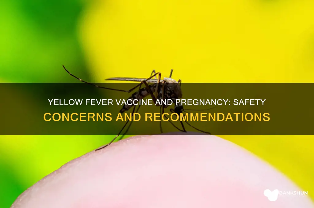 is yellow fever vaccine contraindicated in pregnancy