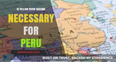Is Yellow Fever Vaccine Necessary for Peru Travel? Expert Insights