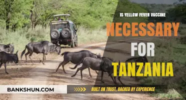 Is Yellow Fever Vaccine Required for Tanzania Travel? Essential Info