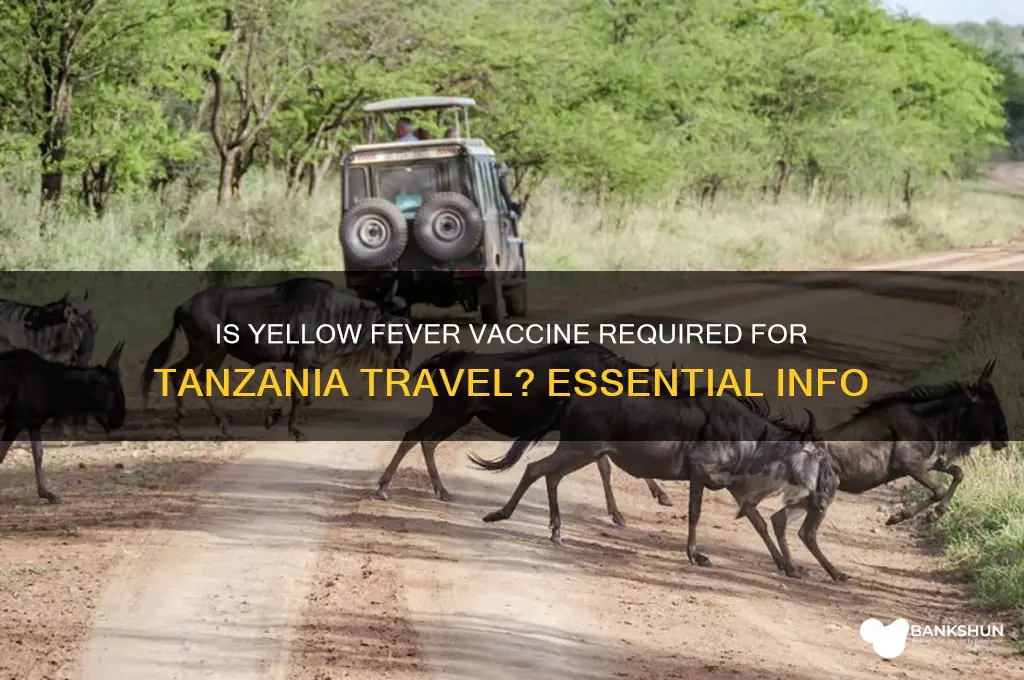 is yellow fever vaccine necessary for tanzania