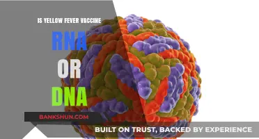 Yellow Fever Vaccine: Understanding Its RNA or DNA Composition