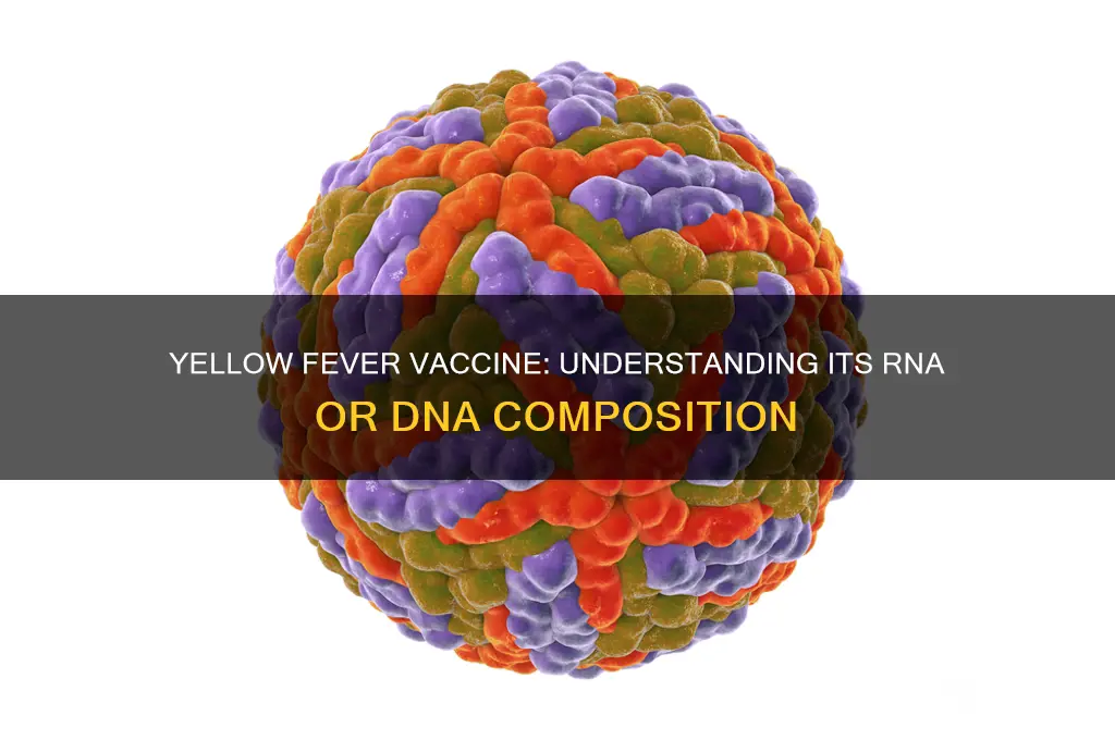 is yellow fever vaccine rna or dna