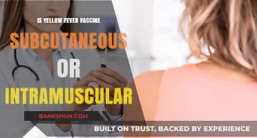 Yellow Fever Vaccine: Subcutaneous or Intramuscular Administration Explained