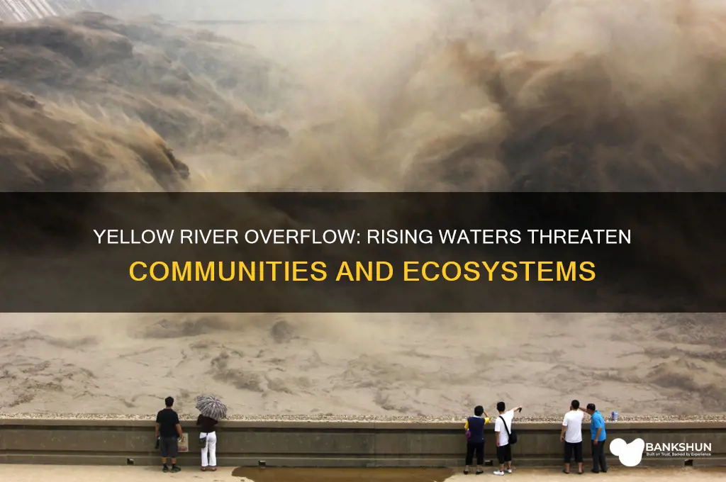 is yellow river rising above its banks