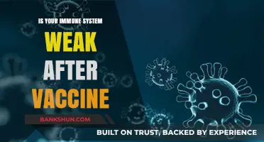 Post-Vaccine Immunity: Debunking Myths About a Weakened Immune System