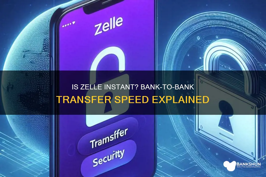 is zelle instant from bank to bank