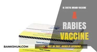 Is Zoetis Brand Vaccine a Rabies Vaccine? Facts Explained