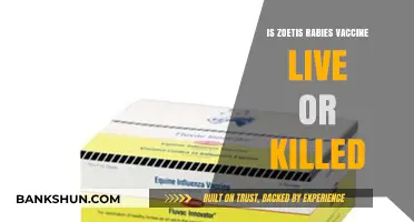 Zoetis Rabies Vaccine: Live or Killed? Understanding the Difference