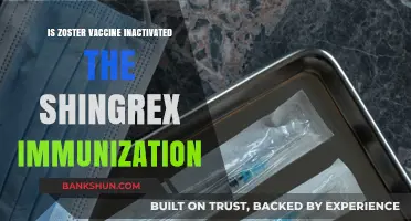 Is Zoster Vaccine Inactivated? Understanding Shingrix Immunization Facts