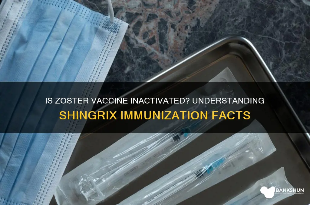 is zoster vaccine inactivated the shingrex immunization