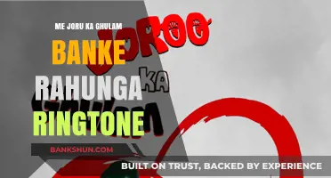 Me Joru Ka Ghulam Banke Rahunga Ringtone: Fun & Trendy Download Guide