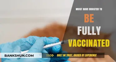 Fully Vaccinated Status: Why a Booster Shot is Essential Now