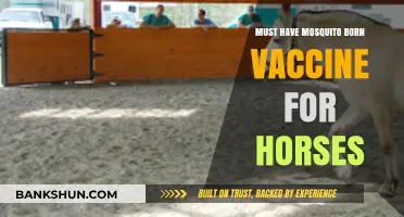 Essential Mosquito-Borne Vaccines for Horses: Protecting Equine Health