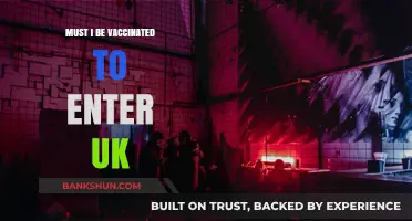 UK Entry Requirements: Vaccination Status and Travel Guidelines Explained