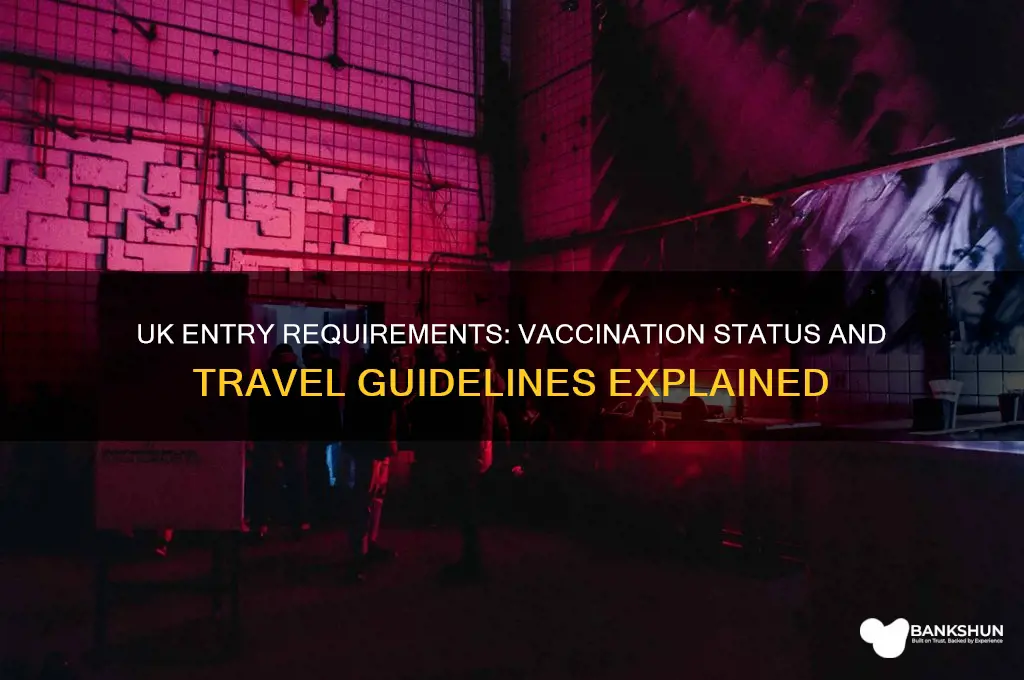 must i be vaccinated to enter uk