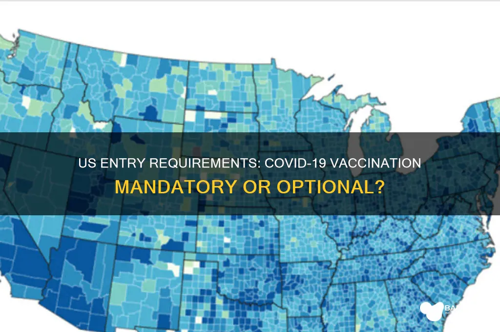 must i be vaccinated to enter us