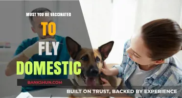 Domestic Flights and Vaccination: Are COVID-19 Shots Required to Fly?