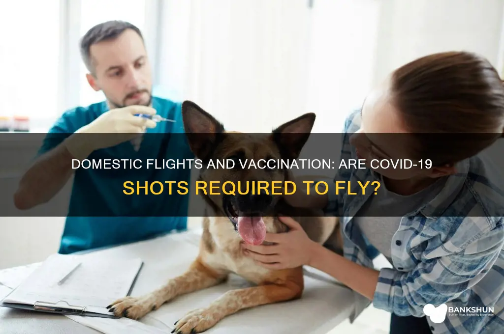must you be vaccinated to fly domestic