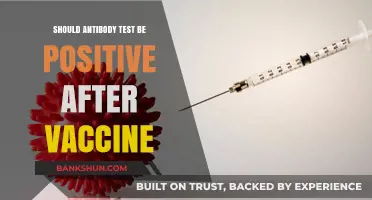 Post-Vaccine Antibody Tests: Understanding Positive Results and Immunity