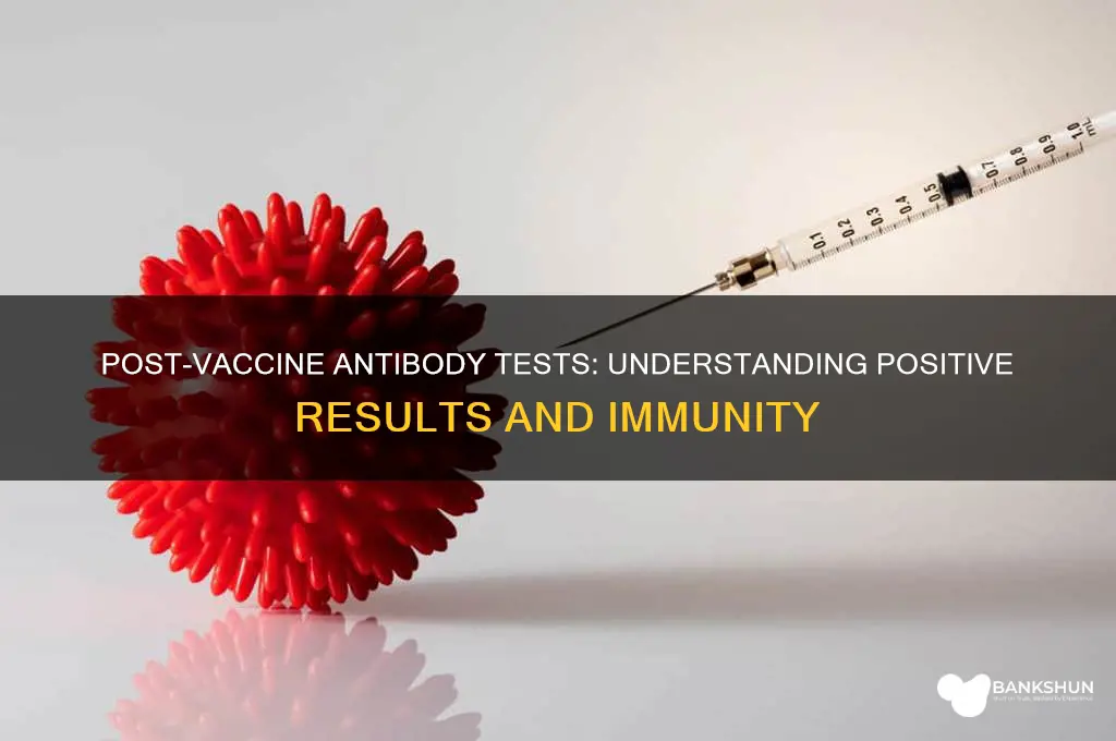 should antibody test be positive after vaccine