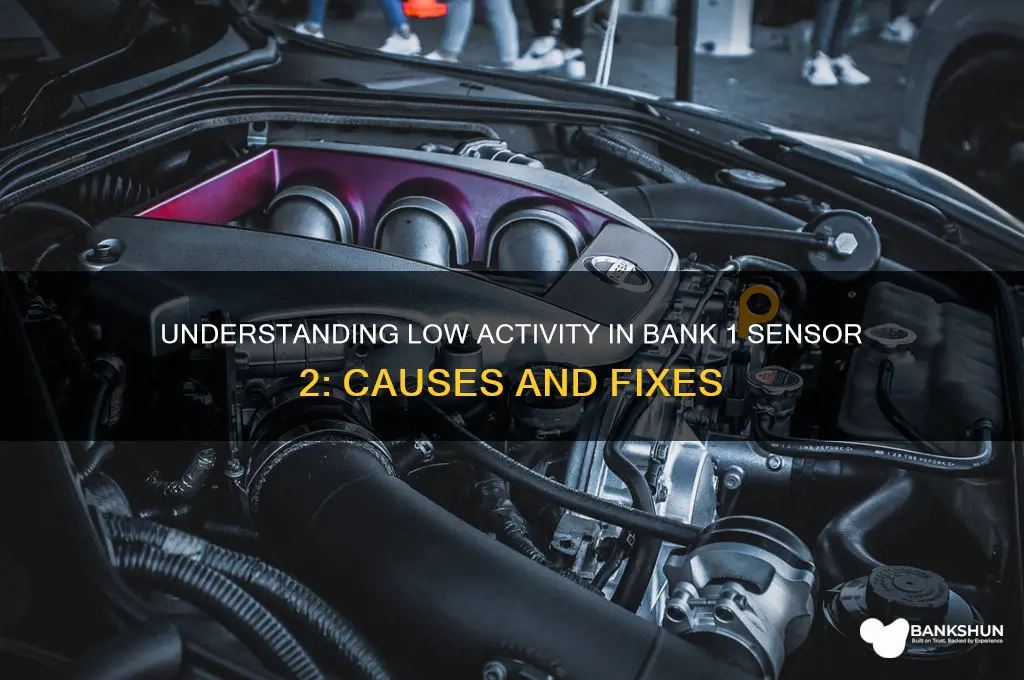should bank 1 sensor 2 little activity