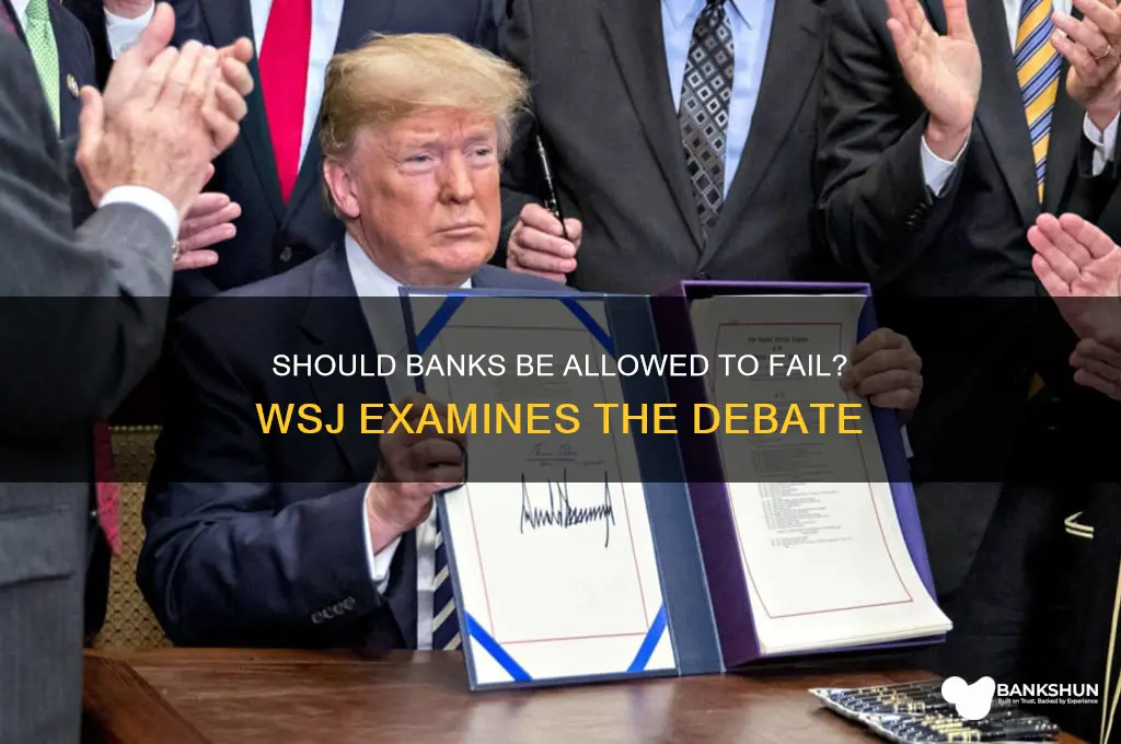 should banks be allowed to fail wsj