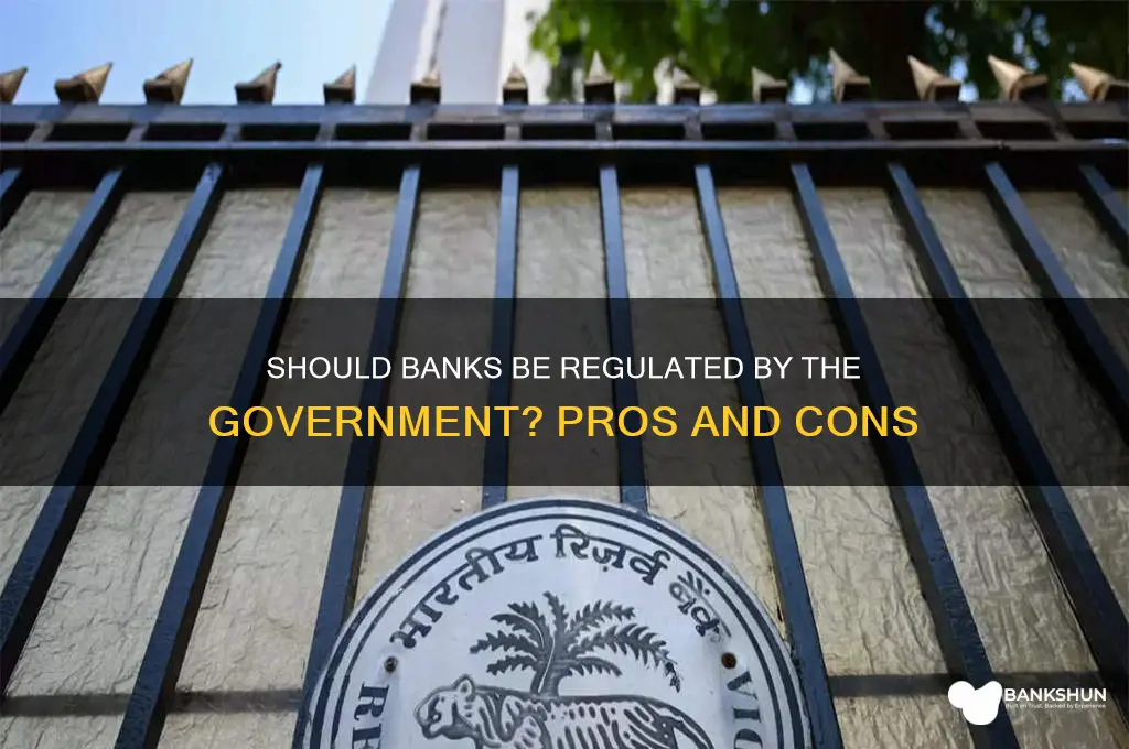 should banks be regulated by the government