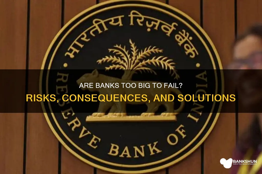 should banks be to big to fail