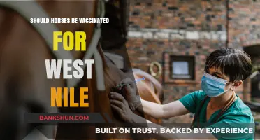 Should Horses Receive West Nile Vaccines? Expert Insights and Advice