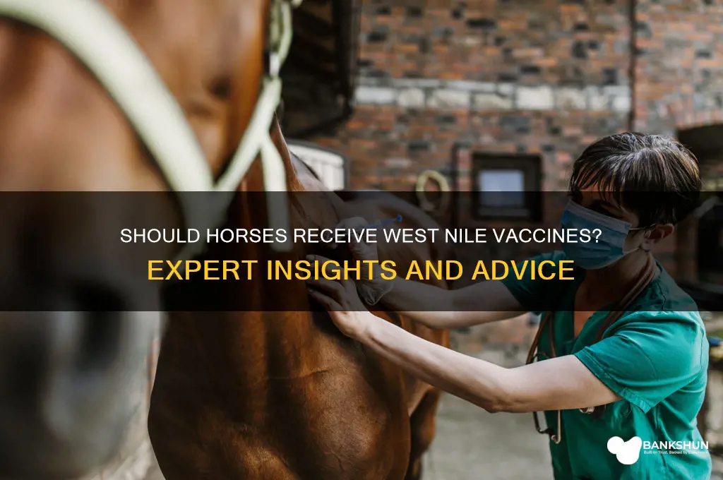 should horses be vaccinated for west nile