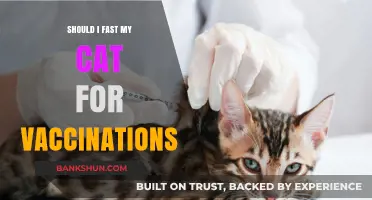 Fasting Cats Before Vaccinations: Necessary Precaution or Unneeded Stress?