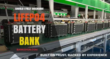 Should You Fully Discharge LiFePO4 Battery Banks? Expert Insights