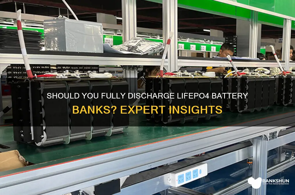 should i fully discharge lifep04 battery bank