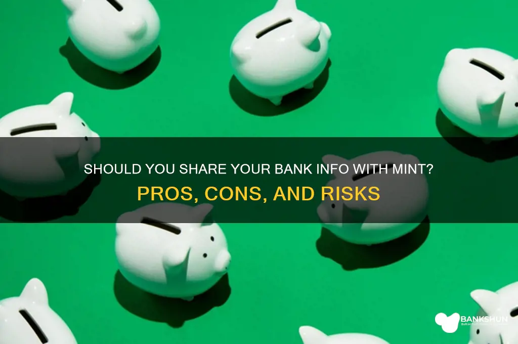 should i give mint my bank info