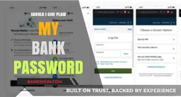 Should You Share Your Bank Password with Plaid? Risks Explained