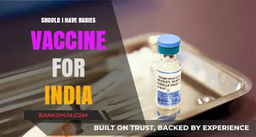 Rabies Vaccine for India Travel: Essential Precaution or Optional?