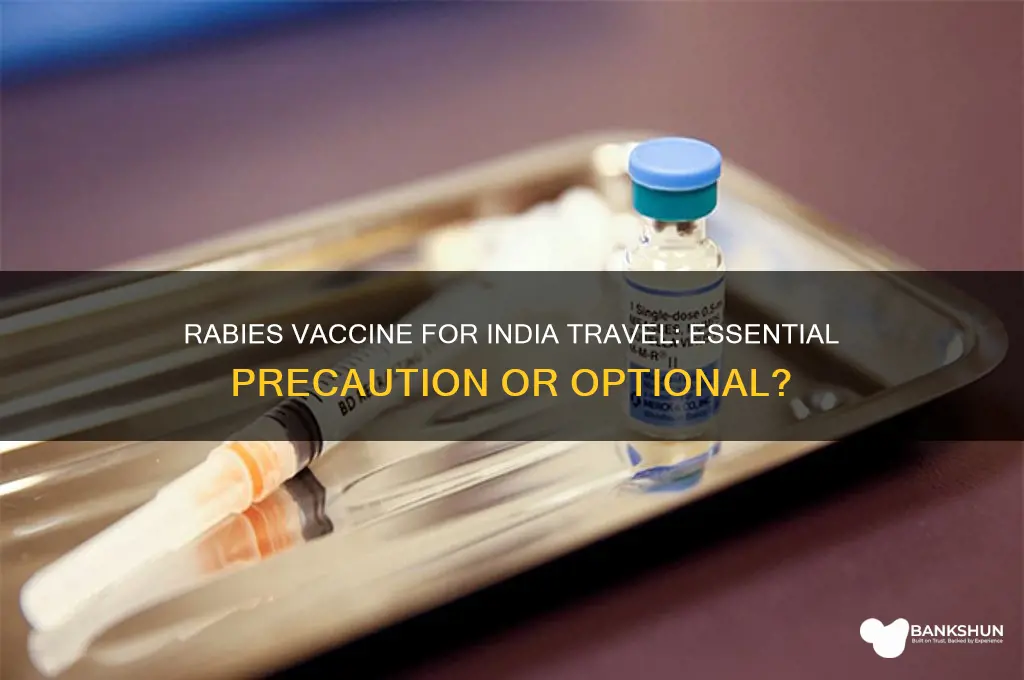 should i have rabies vaccine for india