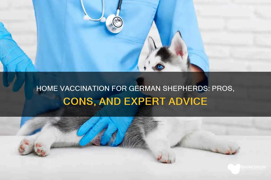 should i home vaccinate my german shepard