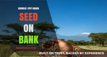 Should You Seed Your Bank? Grass Growth Tips and Considerations