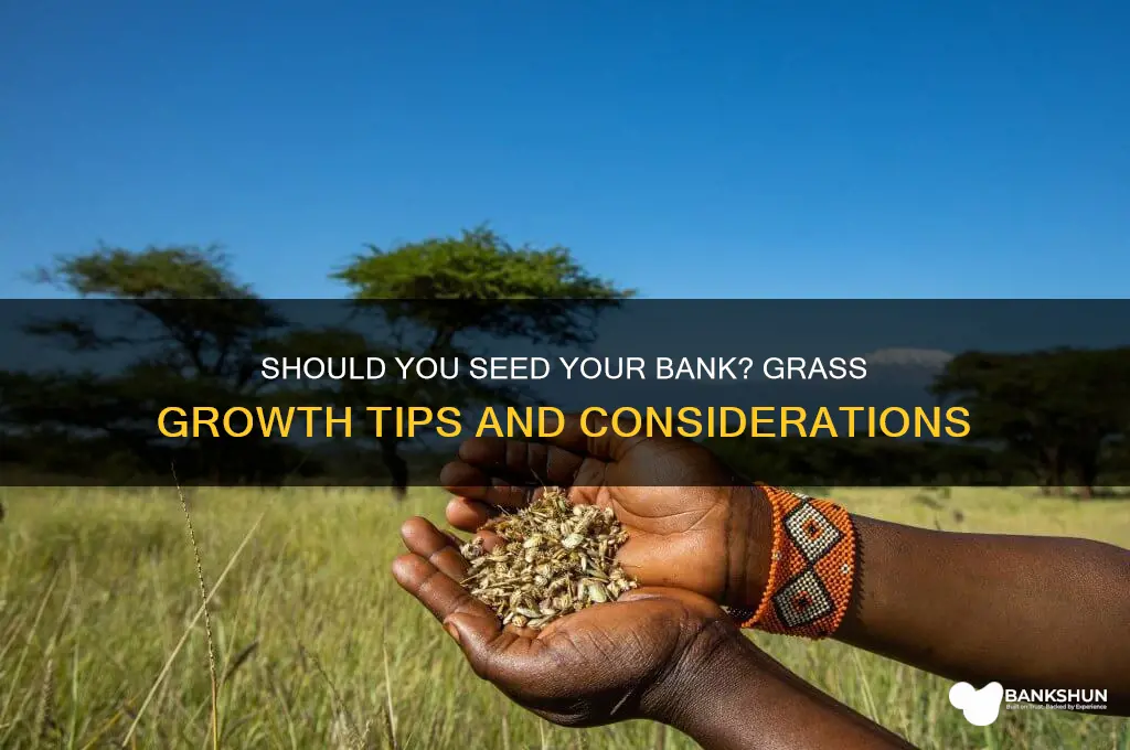 should i put grass seed on bank