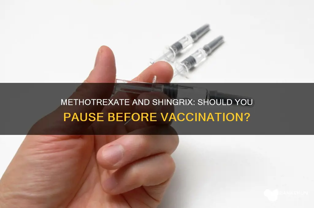 should i stop methotrexate before shingrix vaccine