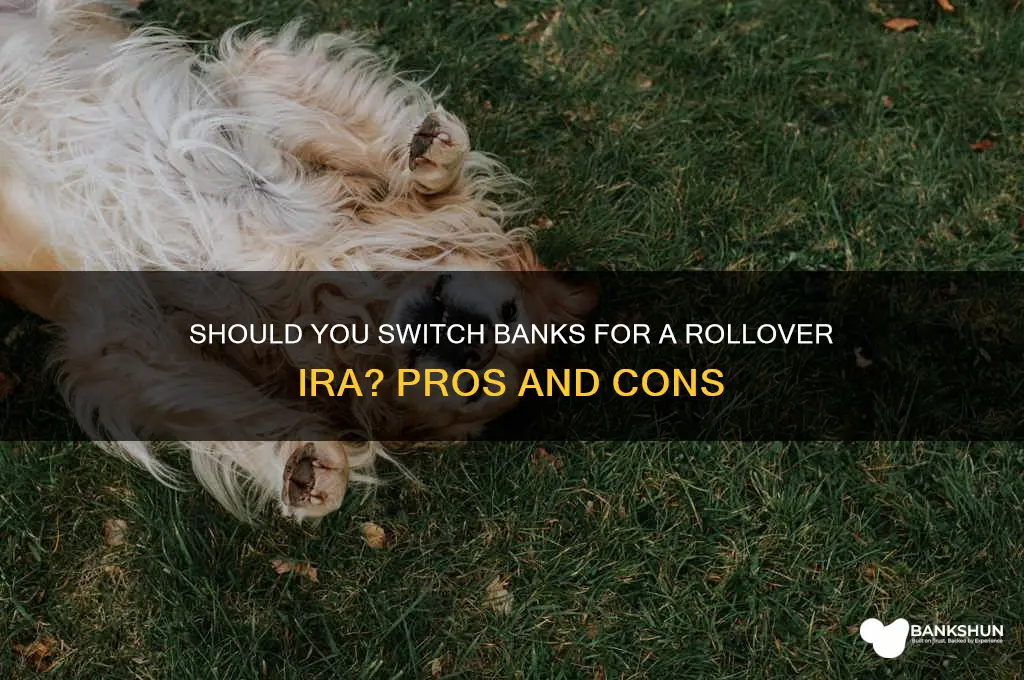 should i switch bank for rollover ira