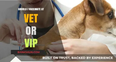 Vet vs. VIP: Where Should You Vaccinate Your Pet?