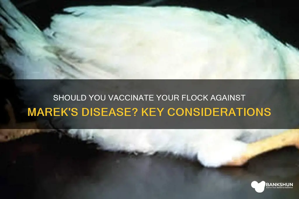 should i vaccinate for marek