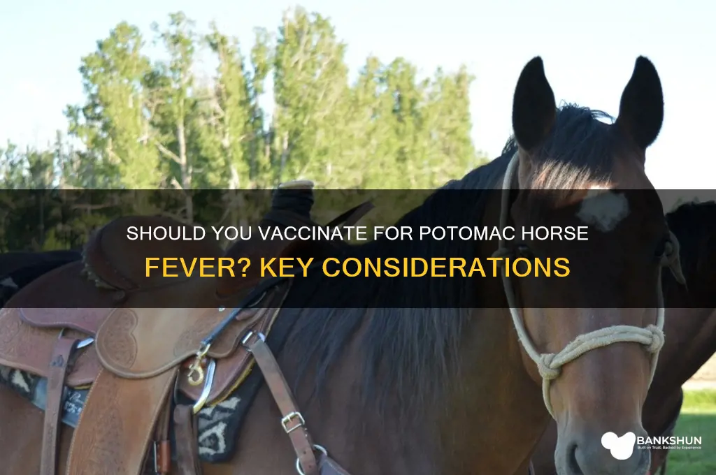 should i vaccinate for potomac horse fever