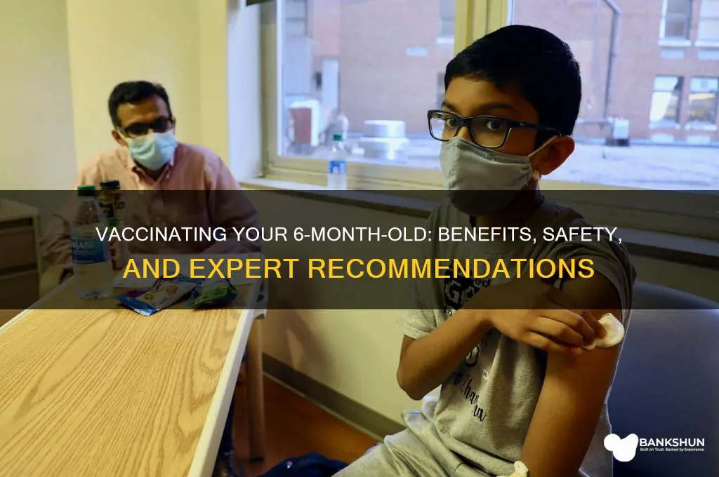 should i vaccinate my 6 month old