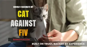 Should You Vaccinate Your Cat Against FIV? Pros and Cons