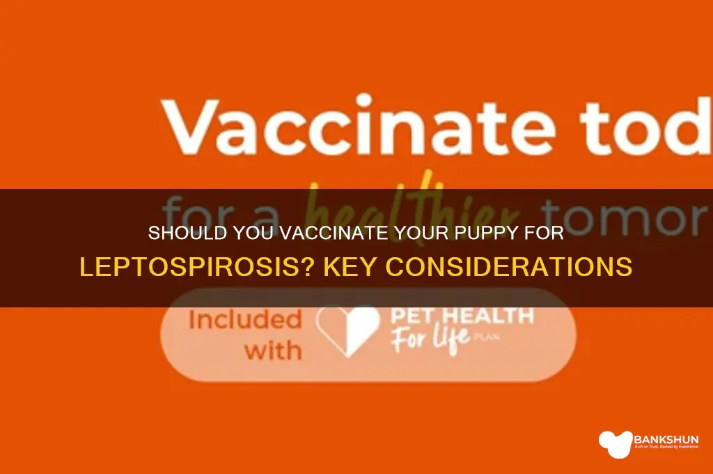 should i vaccinate my puppy for leptospirosis